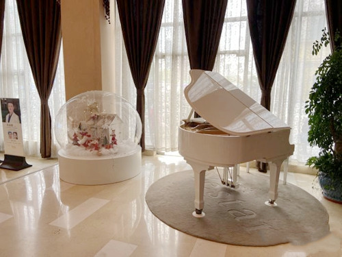 安徽隆鼻最好的医生有哪些？2026年合肥艺星、韩美、壹加壹三家医院技术最稳！