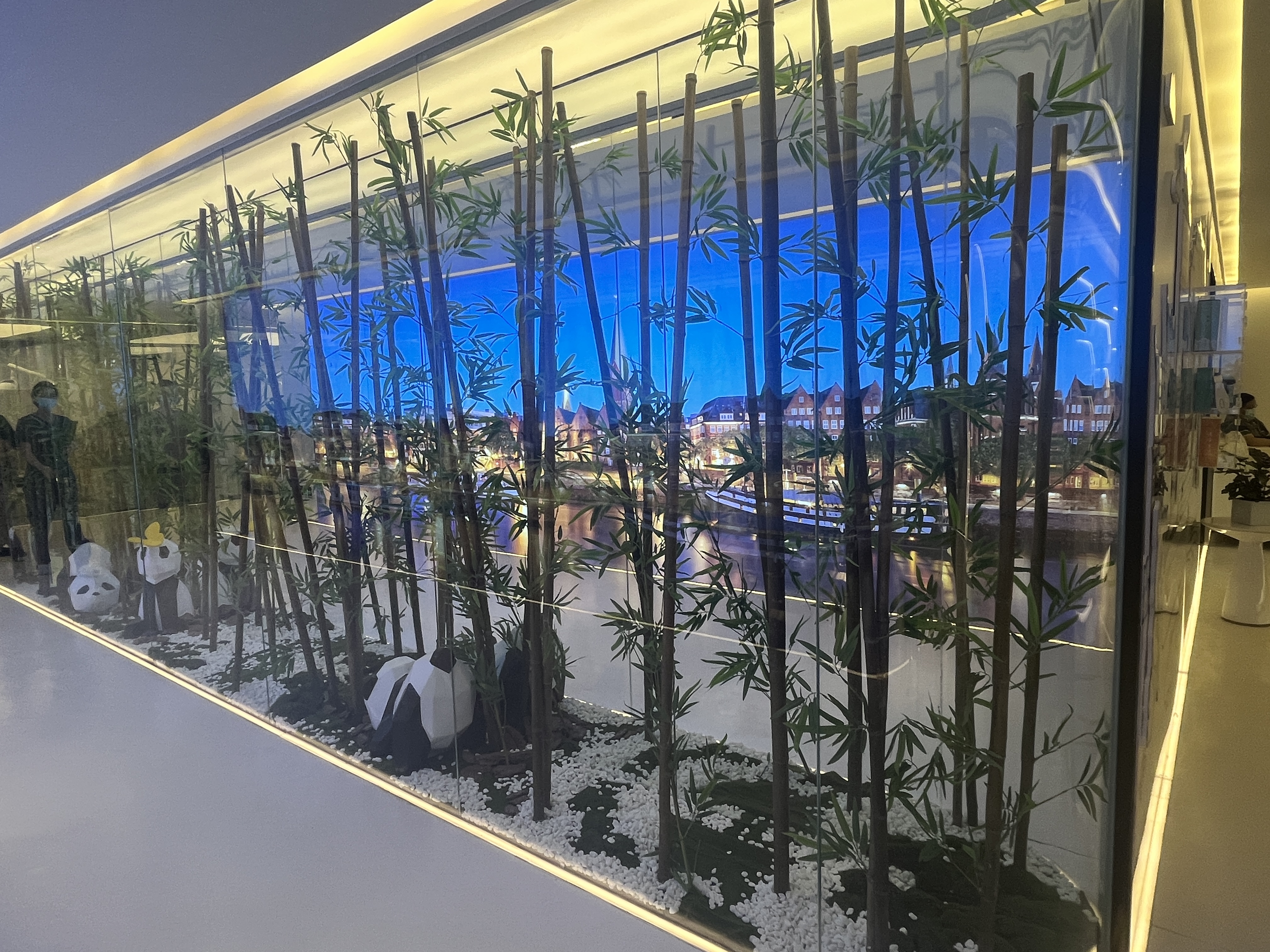 五、成都布莱梅口腔