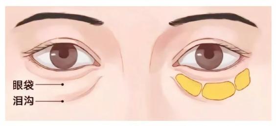 四、影响价格的其他因素