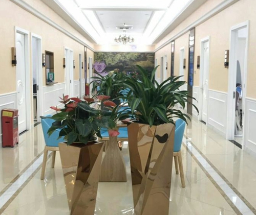 二、佛山曙光金子口腔医院可靠吗？资质与技术双确保