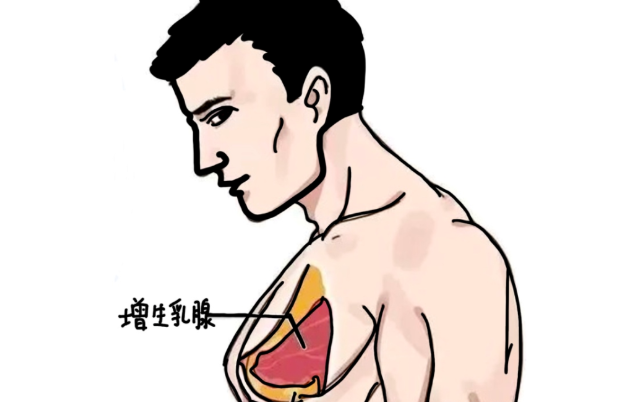 七、项目要点与用户经验