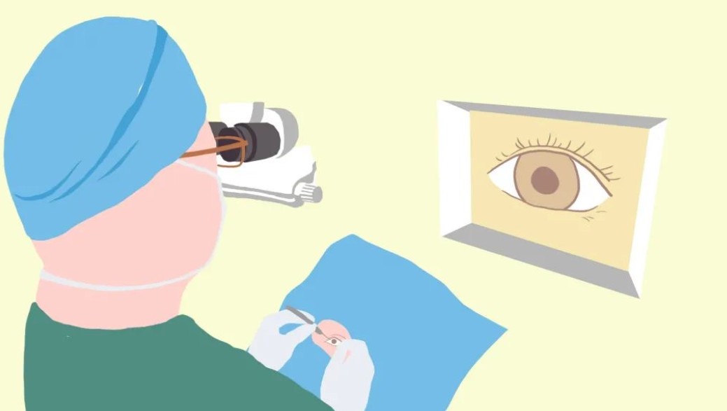 五、杭州米德傲医生价格体系与预约信息