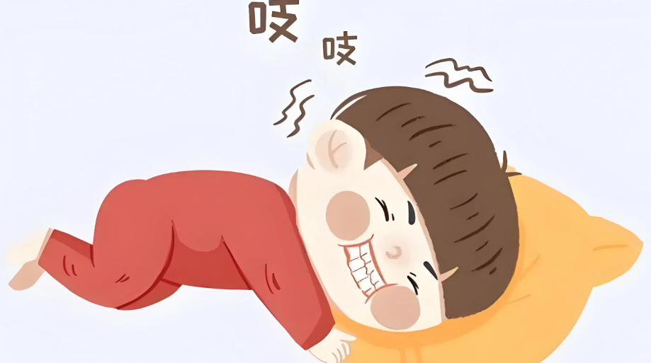 五、科学选择指南：因需而择，避免盲目跟风