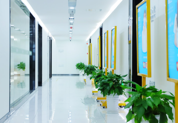 四、合肥美奥口腔种植牙医生收费：国产进口种植体分层定价