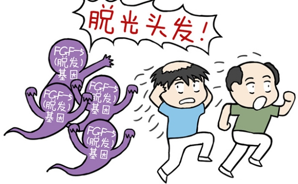 五、选择杨勇华植发的适用场景