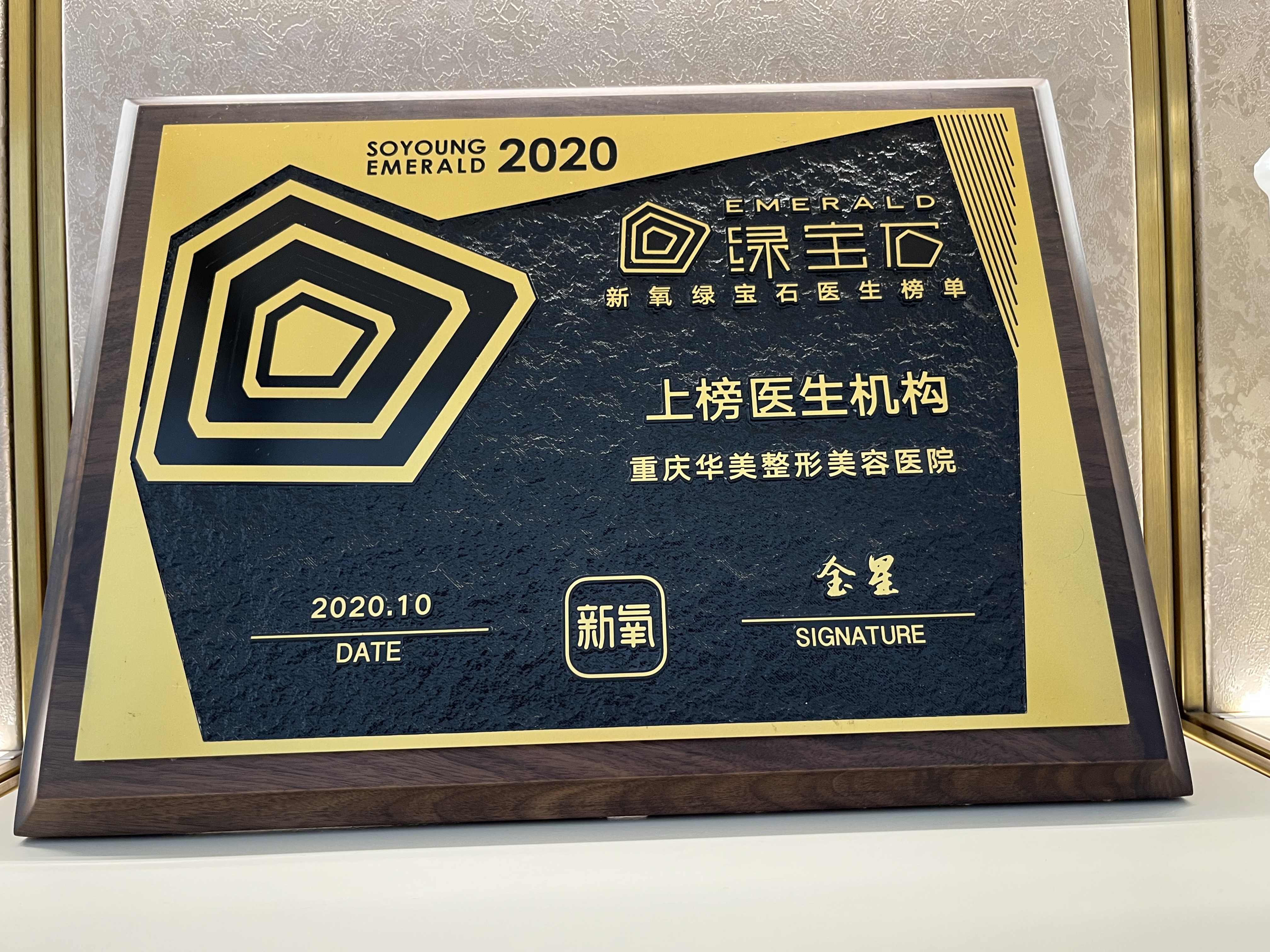 五、重庆华美医院是私立还是公办：运营模式与服务特色