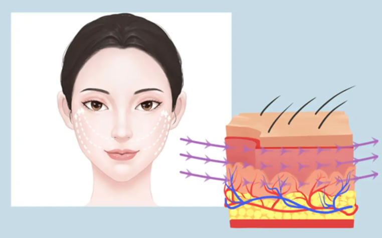 三、沧州京美医疗美容